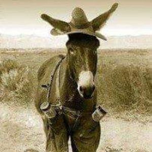 Meet your Posher, Steven